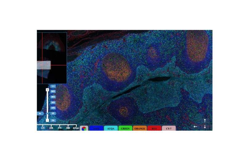 Digitaler Pathologie-Objektträger-Scanner KF-PRO-400 – Bild 2