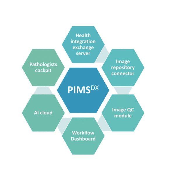 Logiciel de gestion d'images pour les laboratoires de pathologie
