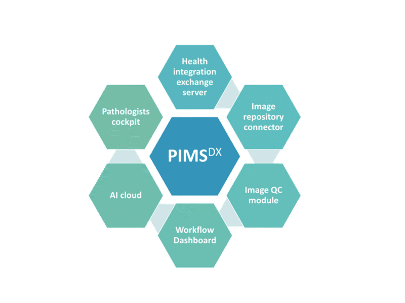 Bildmanagement-Software für Pathologie-Labore